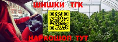 гидра Гусев