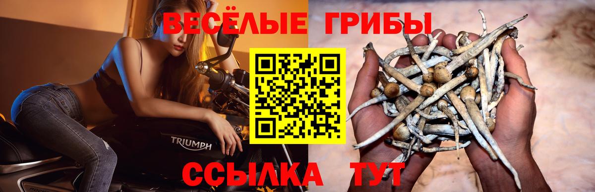 Галлюциногенные грибы мухоморы  Вход с VPN  Псилоцибиновые грибы GOLDEN TEACHER  Нижний Тагил 